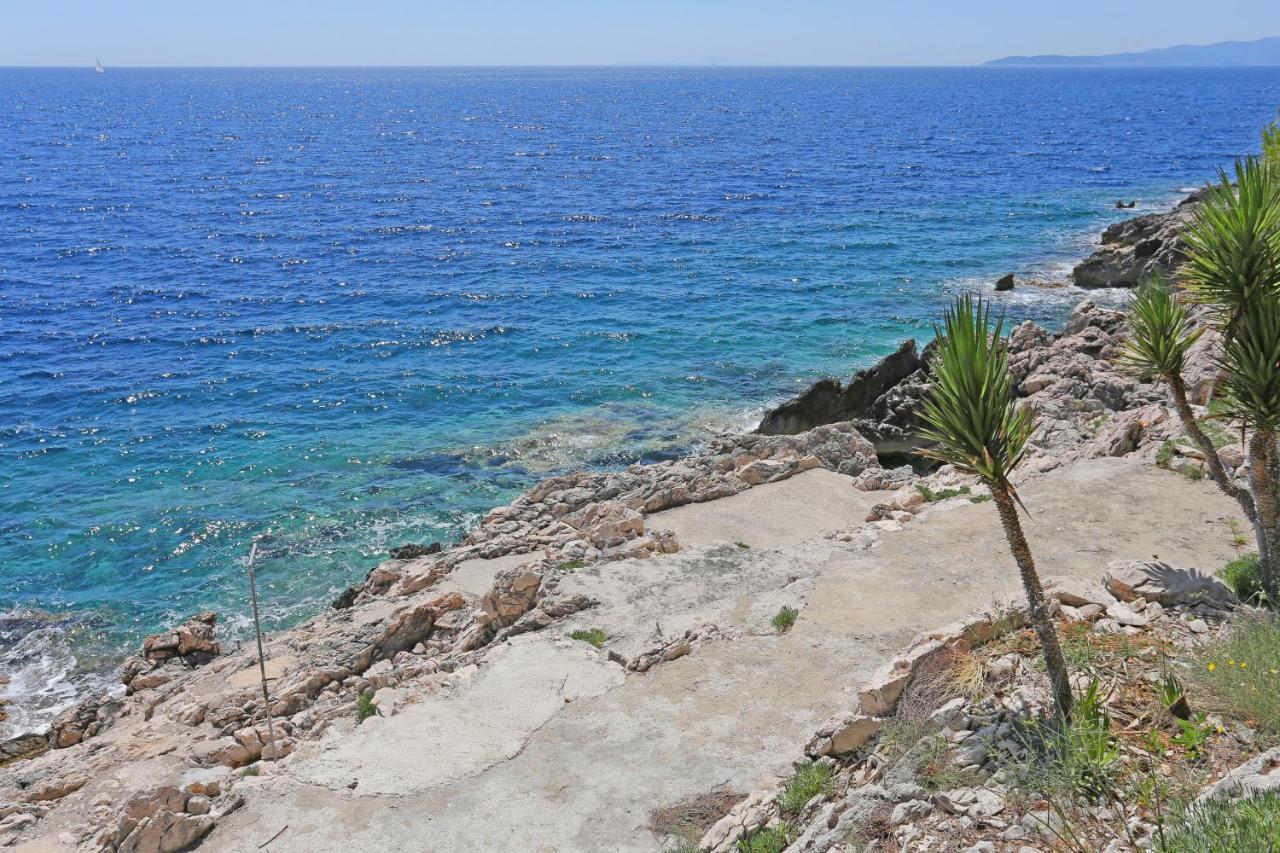 Lägenhet By The Sea Dingac - Potocine, Peljesac - 4533 *